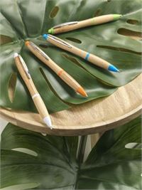 PENNA BAMBOO